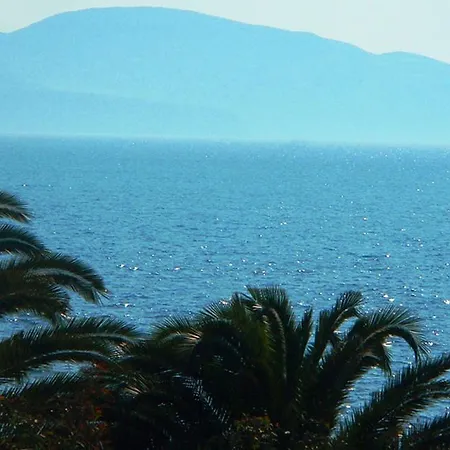 Πανσιόν Vasilis