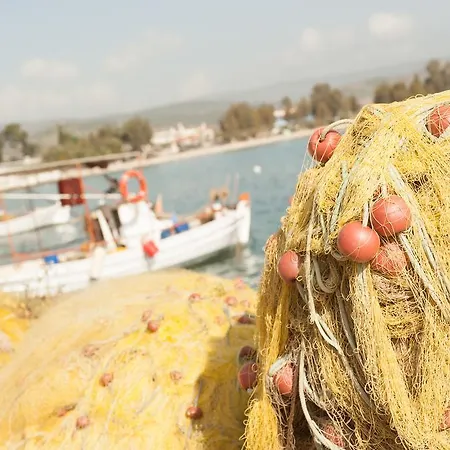 瓦西利斯公寓酒店 Kivérion